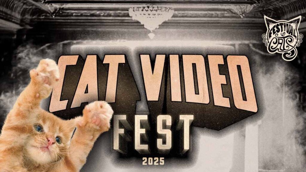 CatVideoFest